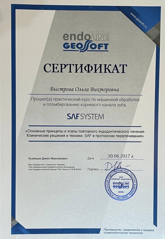 Практический курс по применению SAF системы при эндодонтическом лечении. 2017 год.