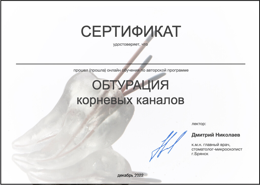 Онлайн обучение по авторской программе "Обтурация корневых каналов" у Николаева Дмитрия.