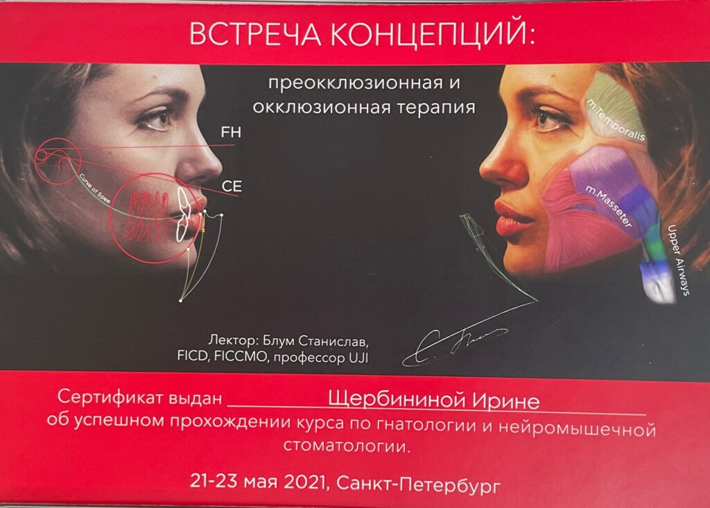 Курс по гнатологии и нейромышечной стоматологии "Встреча концепций: преодкклюзионная и окклюзионная терапия."